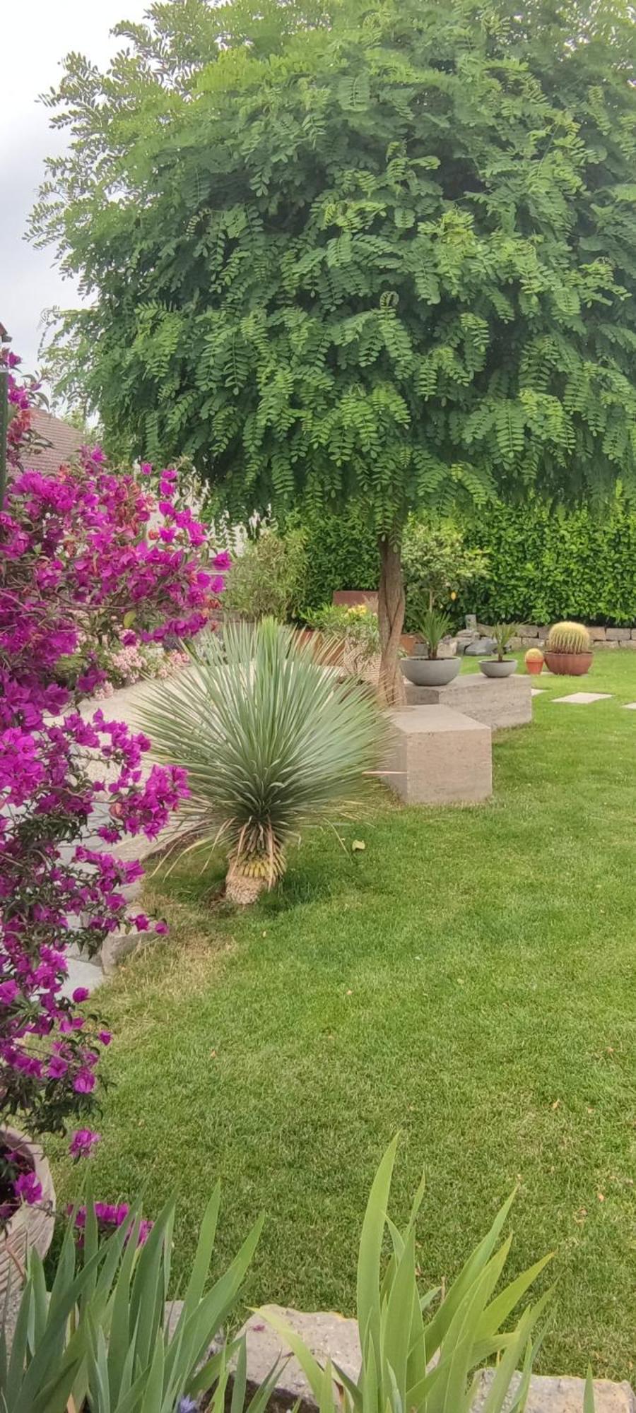 Apartamento Bel giardino FDH Exterior foto