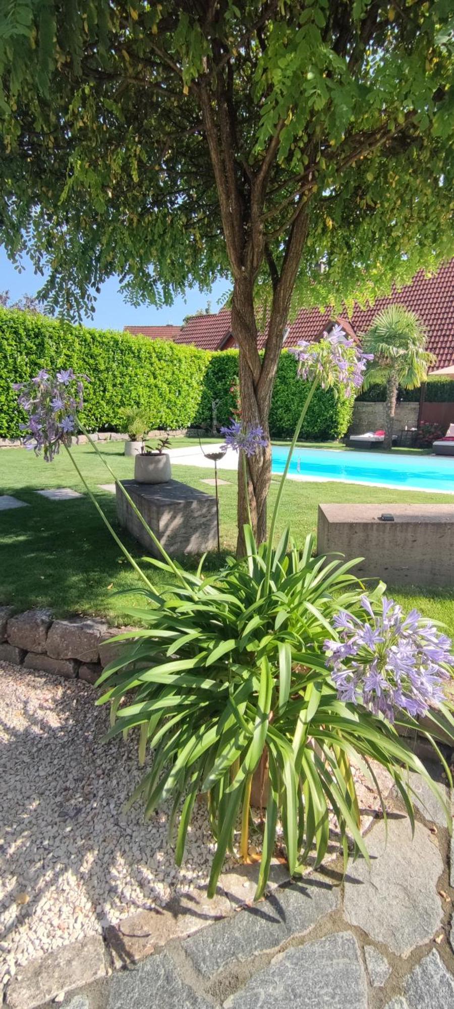 Apartamento Bel giardino FDH Exterior foto